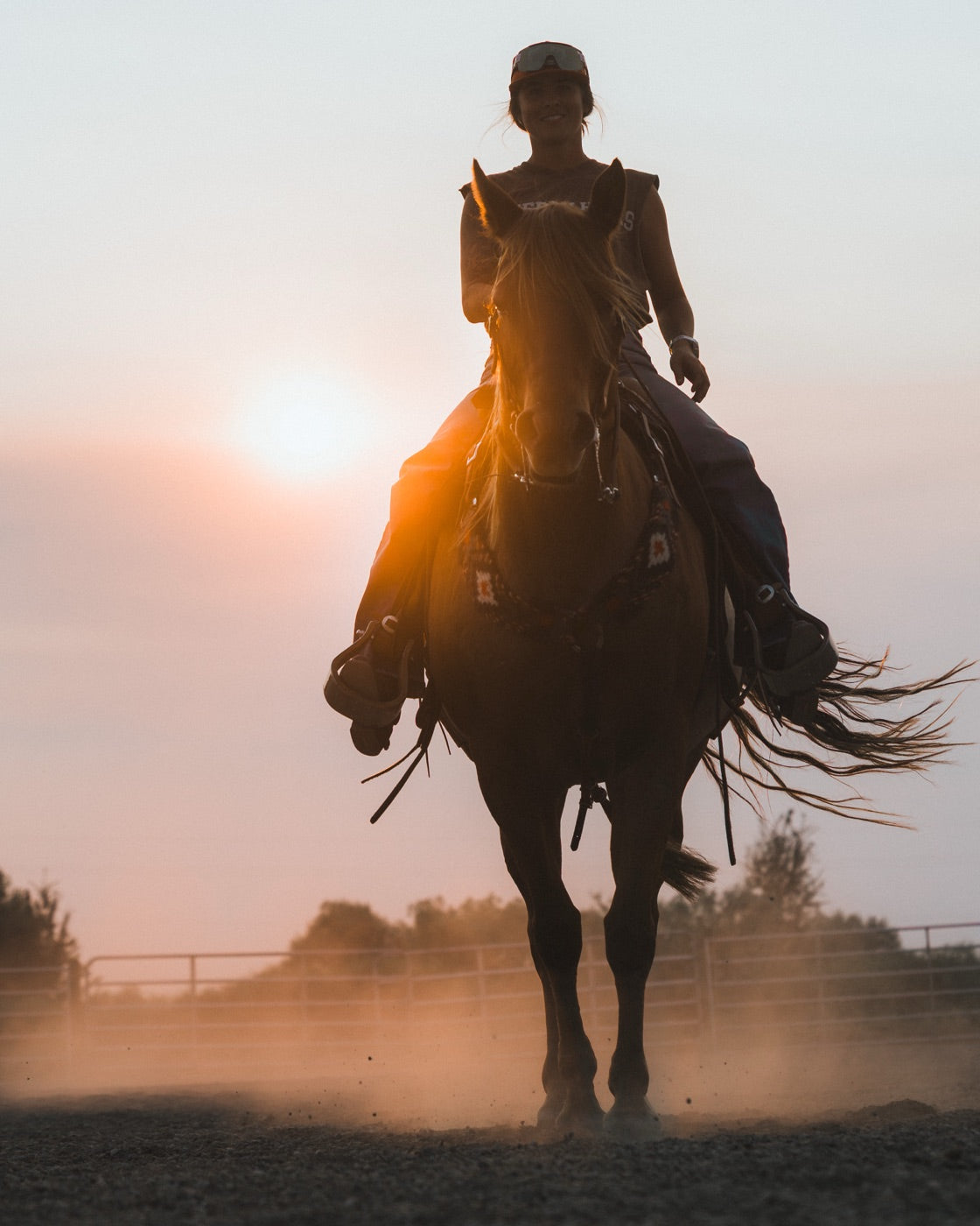Horse and rider in warm evening light