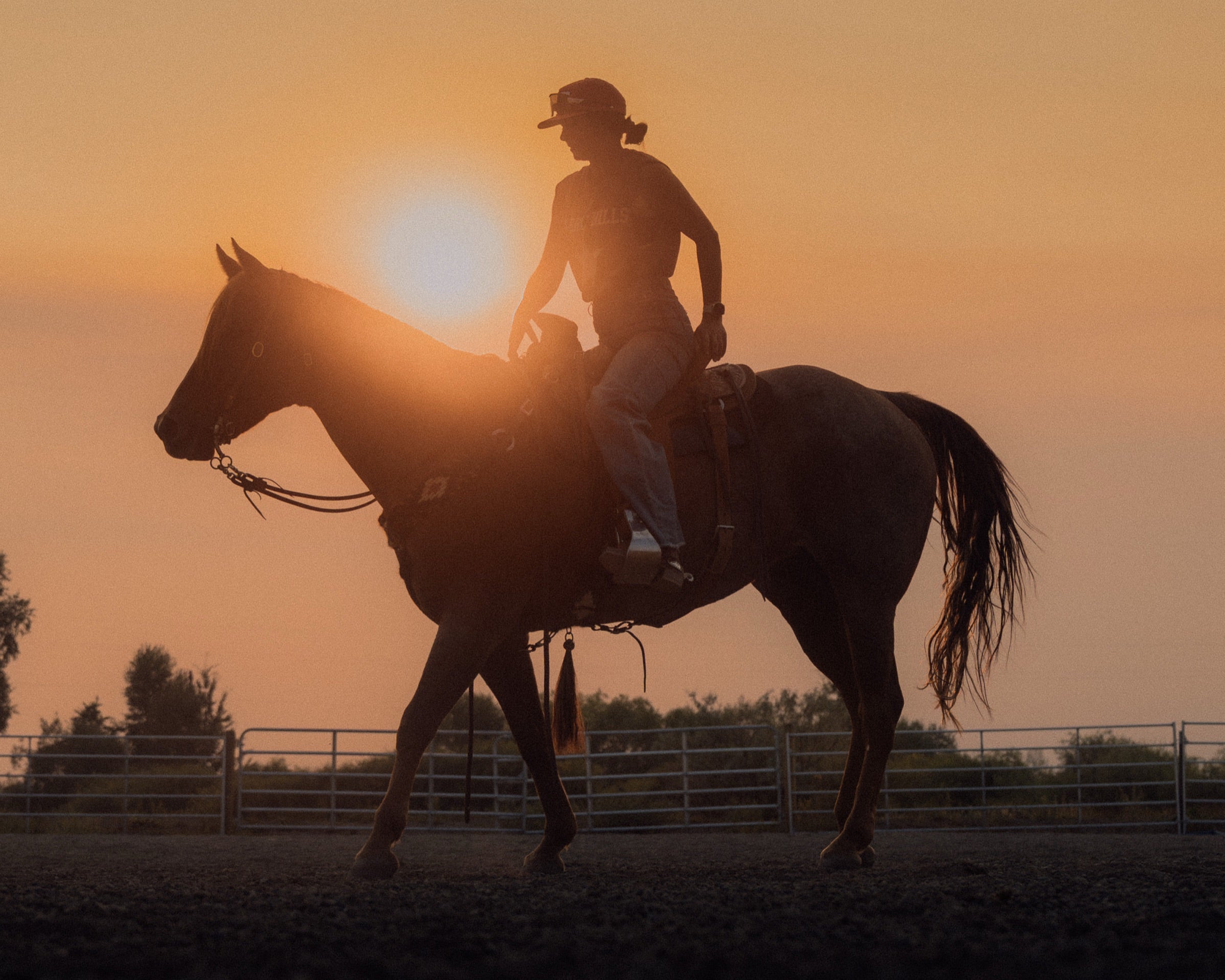 Rider approaching on horseback at golden hour