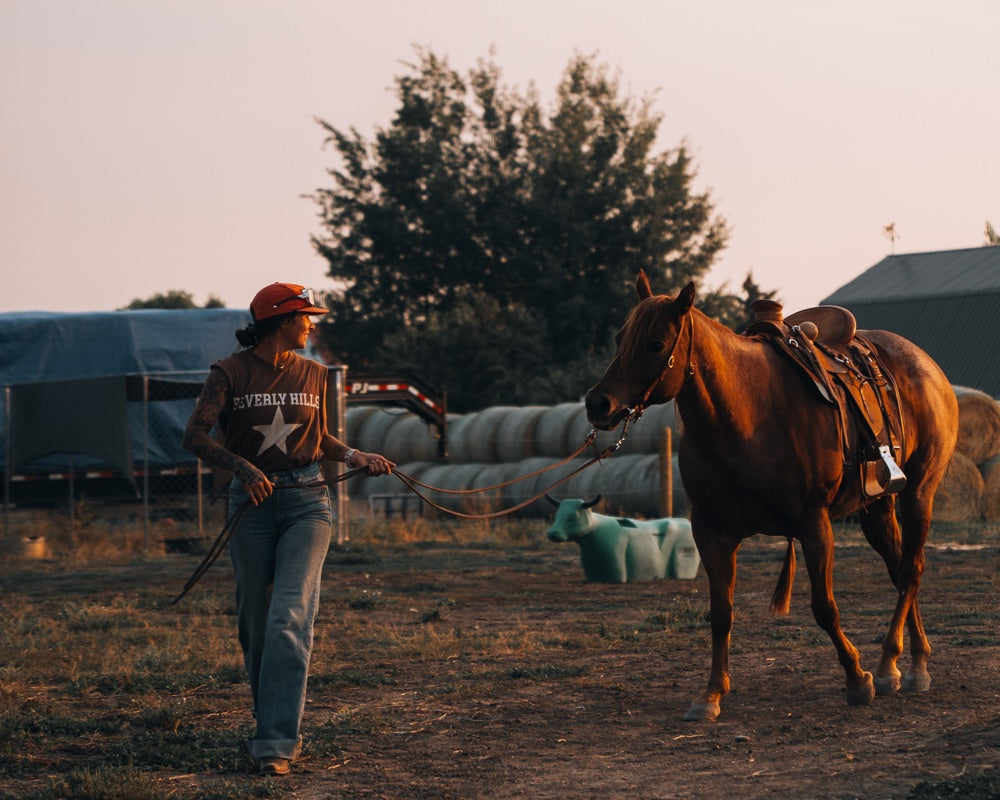 Woman leading saddled horse at golden hour