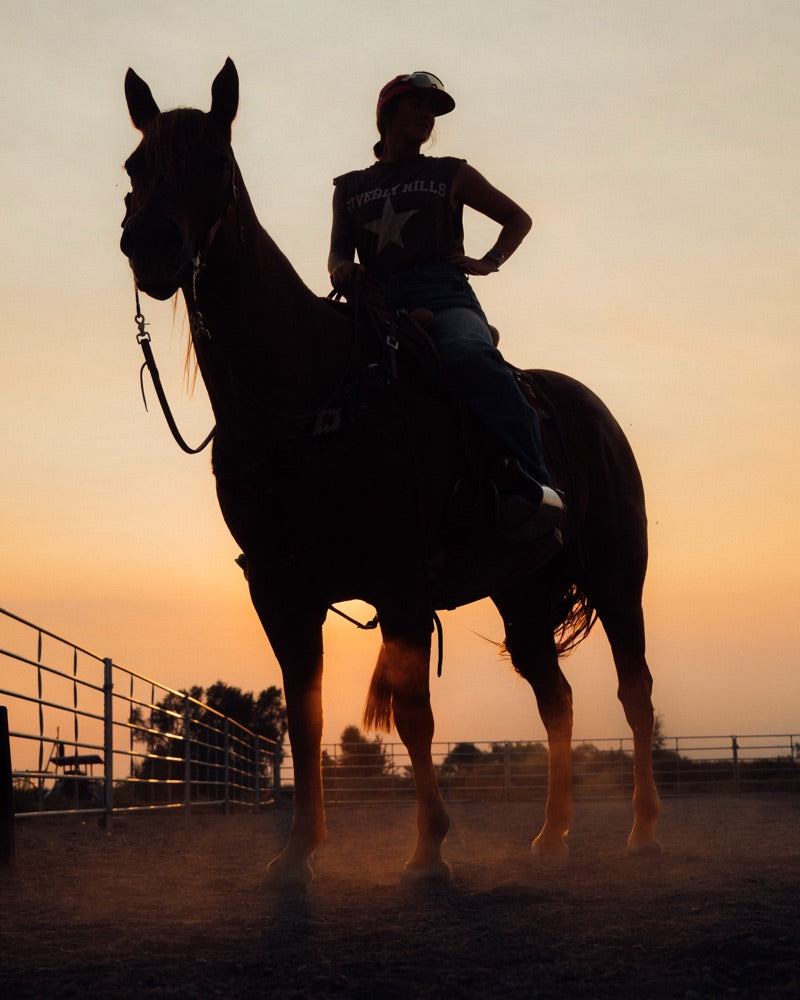 Horse silhouette with rider hand on hip at sunset