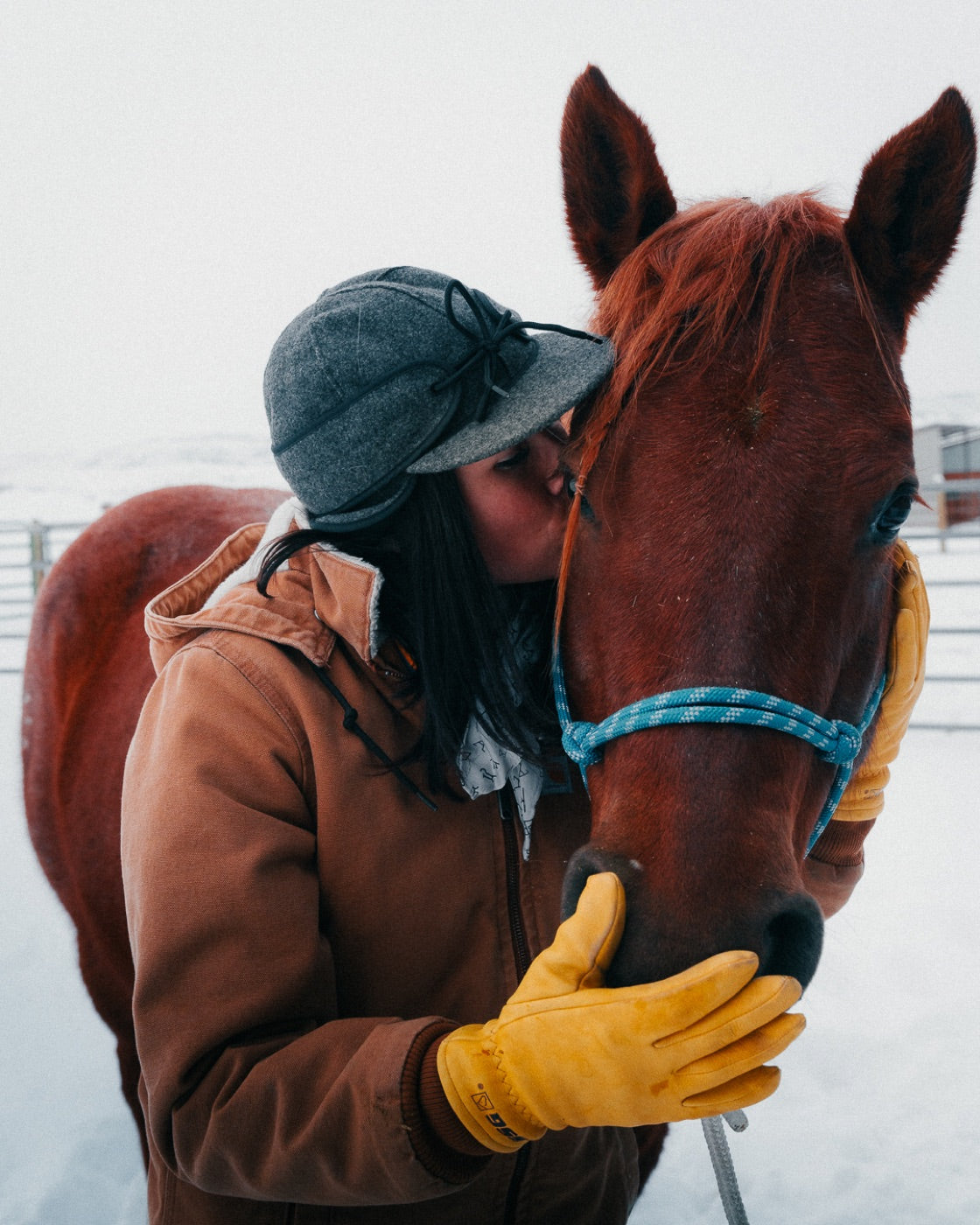 Woman kissing horse nose in snow